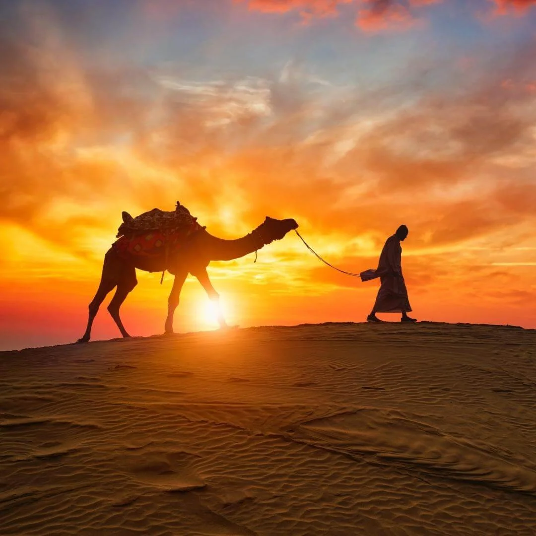 Camel guide at Jaisalmer fort