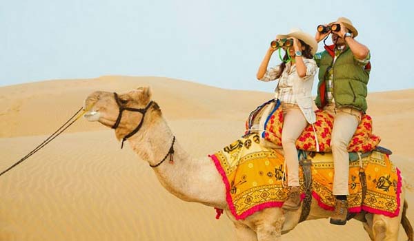 Camel Safari in Jaisalmer