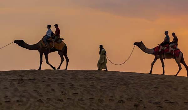 Overnight camel safari with tents